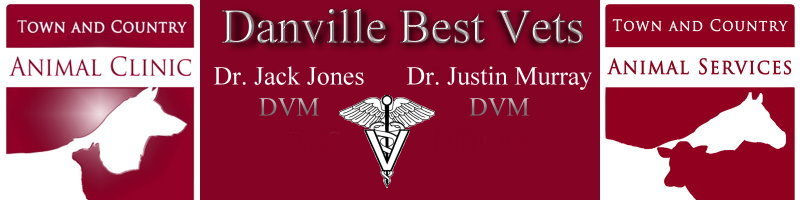 Danville Best Vets - Kentucky Veterinarian Dogs Cats Horses Cattle